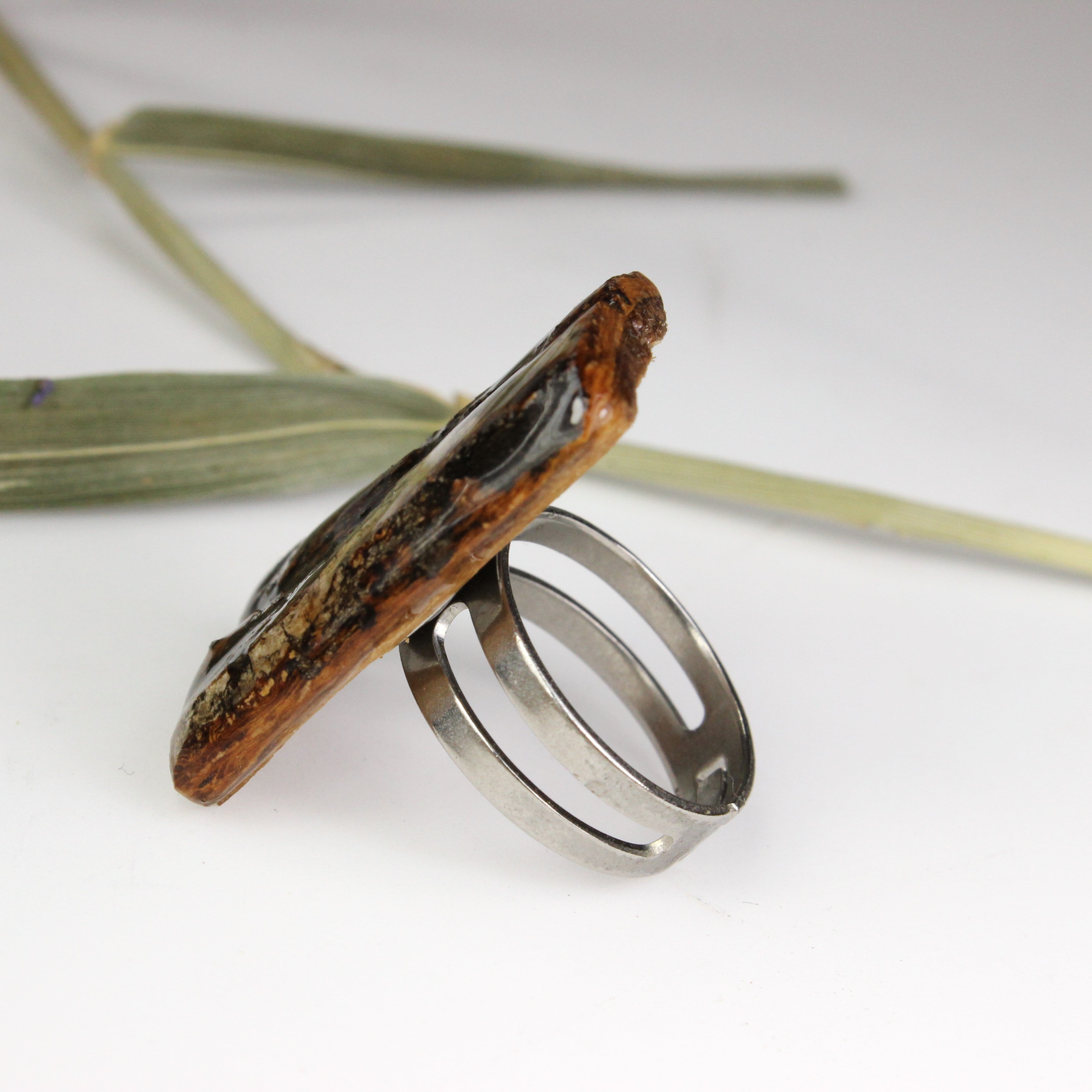 Aspen bark ring