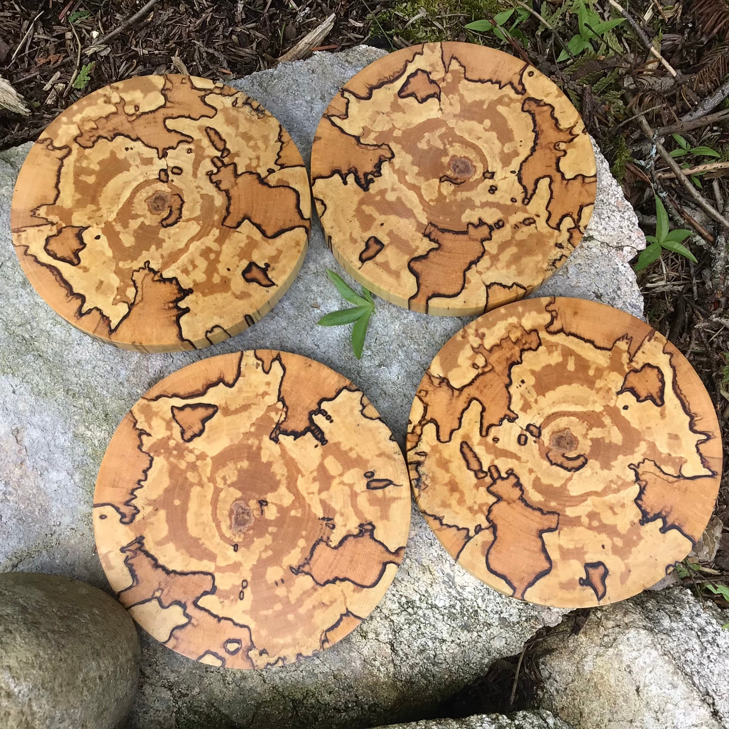 Birch Wood Coasters