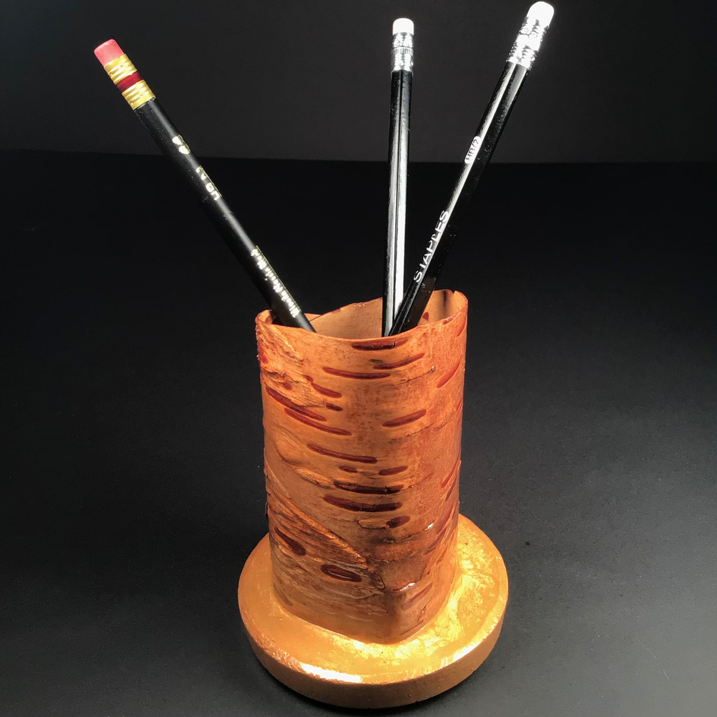Birch bark pencil holder