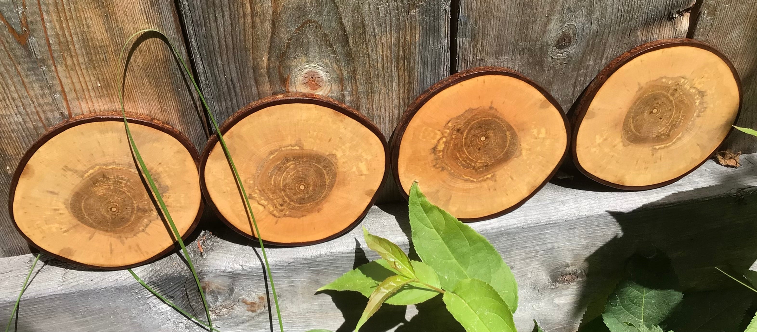 Sous-verres de luxe en bois d’érable