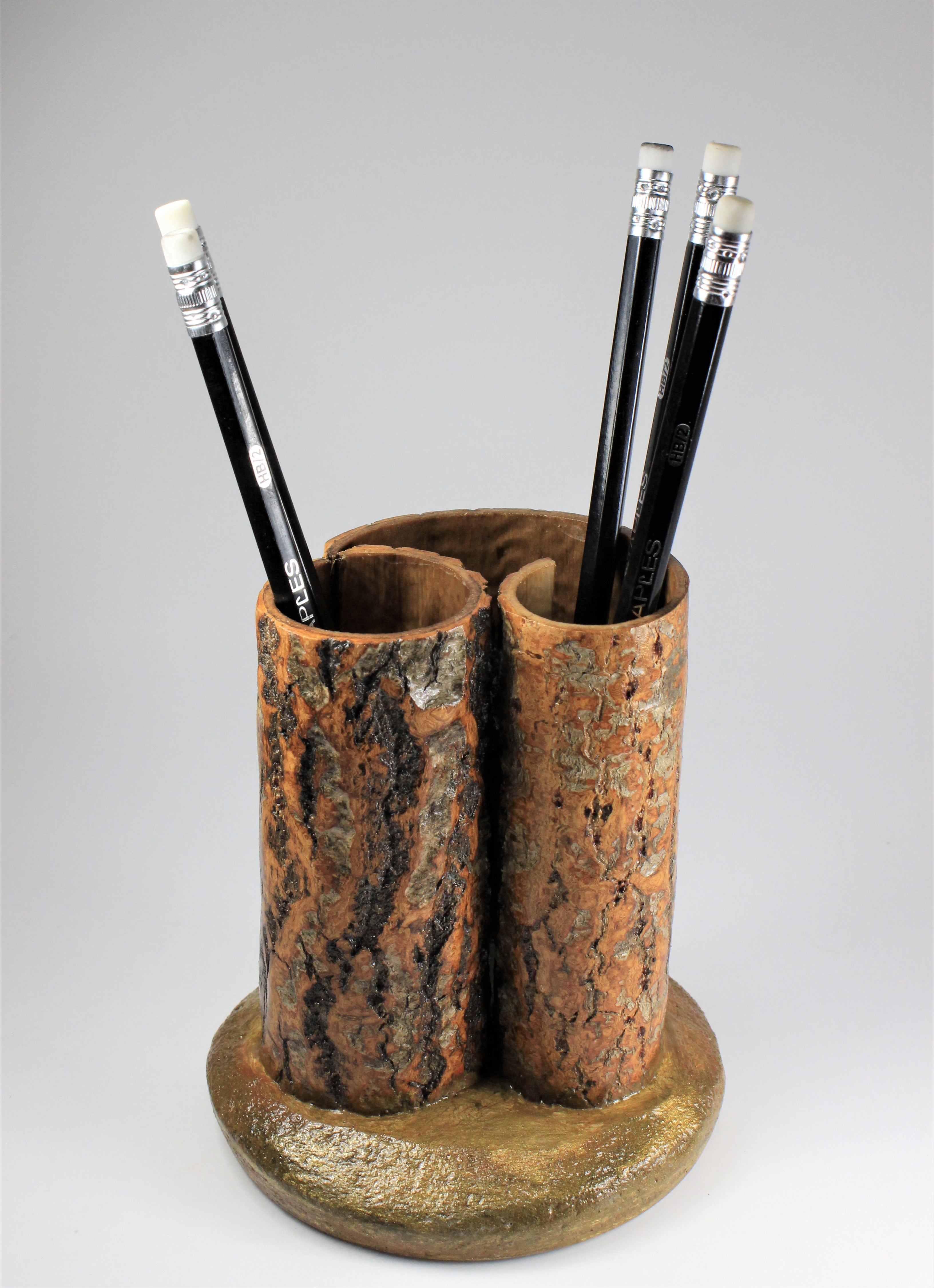 Aspen bark pencil pot