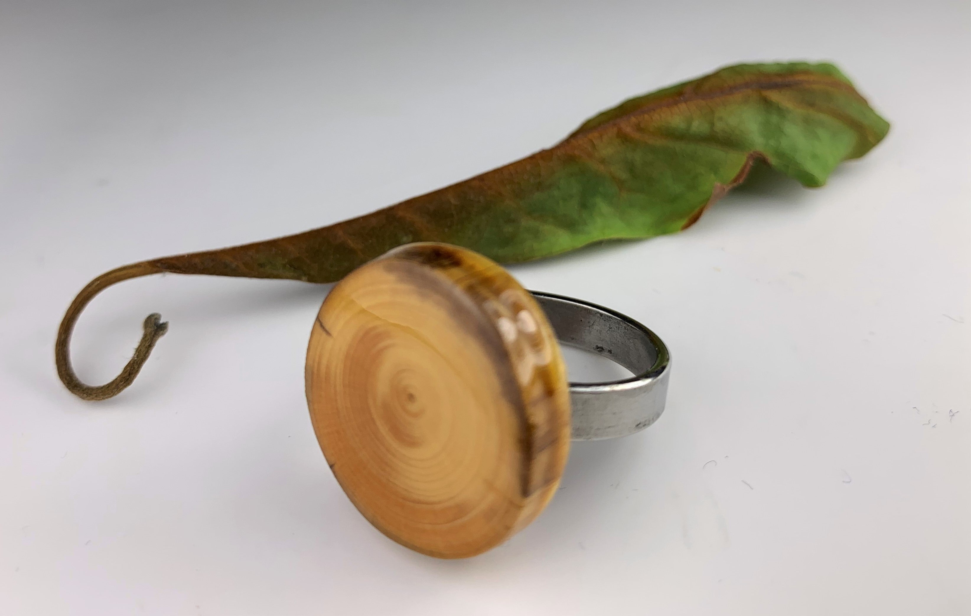 spruce ring