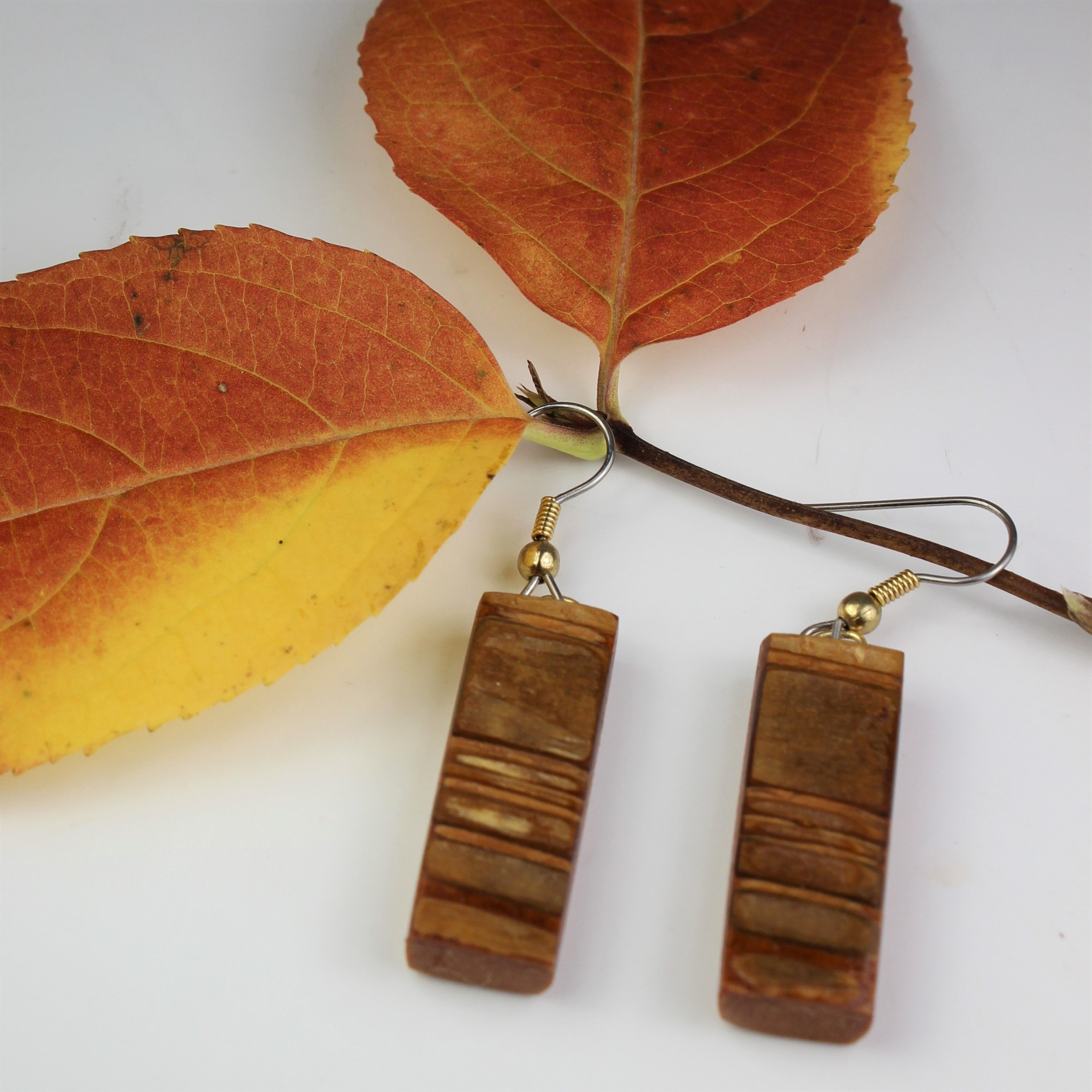 Maple bark earrings